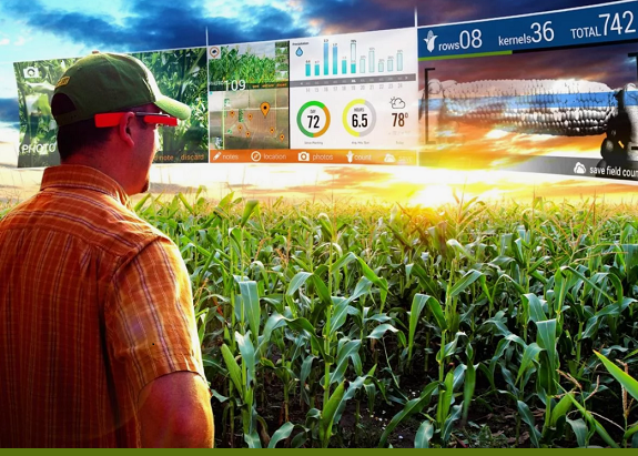 Цифровизация в агросекторе: более 600 казахстанских аграриев используют цифровые решения и элементы ИИ