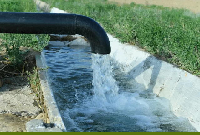 В Казахстане тестируют систему заключения электронных договоров по подаче поливной воды