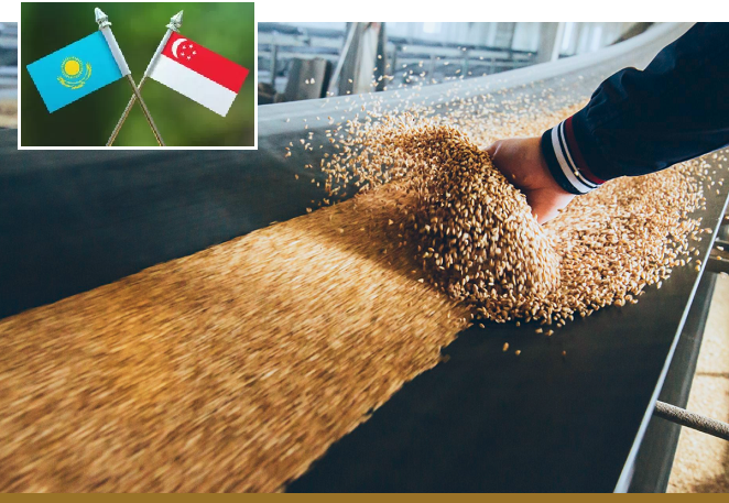 Казахстан и Сингапур запустят агропромышленный гигант в Костанайской области