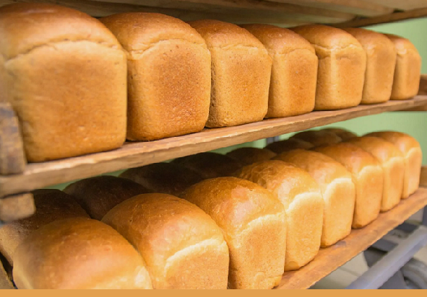 27 млн тонн зерна: Казахстан полностью обеспечит себя хлебом и мукой 