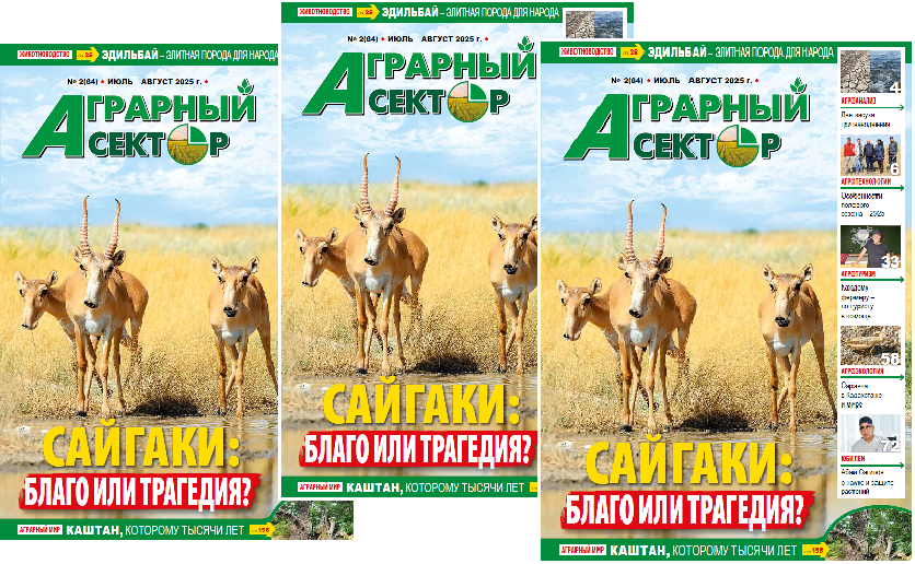 Вышел в свет летний выпуск журнала «Аграрный сектор» №2 (64) 2025 год