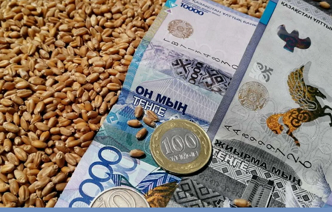Ценовое ожидание: какой будет цена на казахстанское зерно урожая 2025 года?
