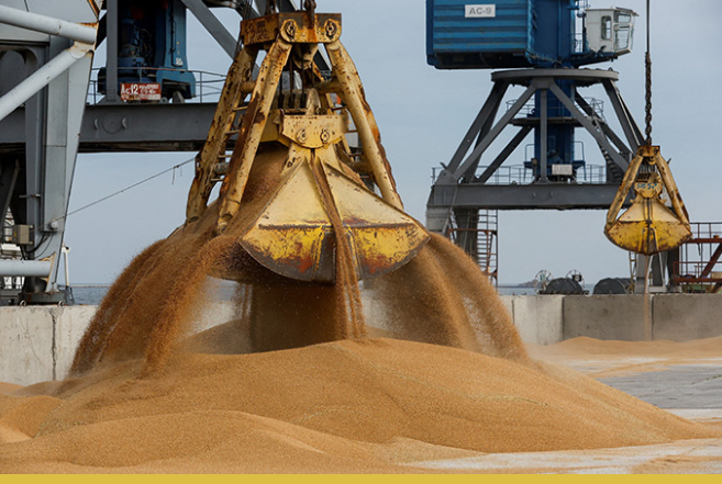 Пшенице дали зеленый свет: в России впервые обнулили пошлину на экспорт зерна 