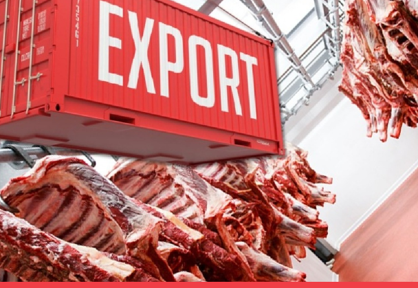Шесть казахстанских предприятий готовы поставлять мясо и живой скот в Иорданию