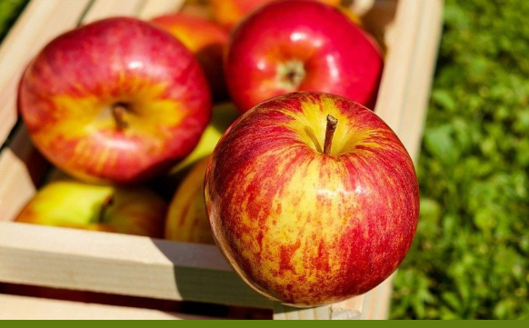 Казахстан удвоил экспорт яблок, но внутри страны цены продолжают расти 