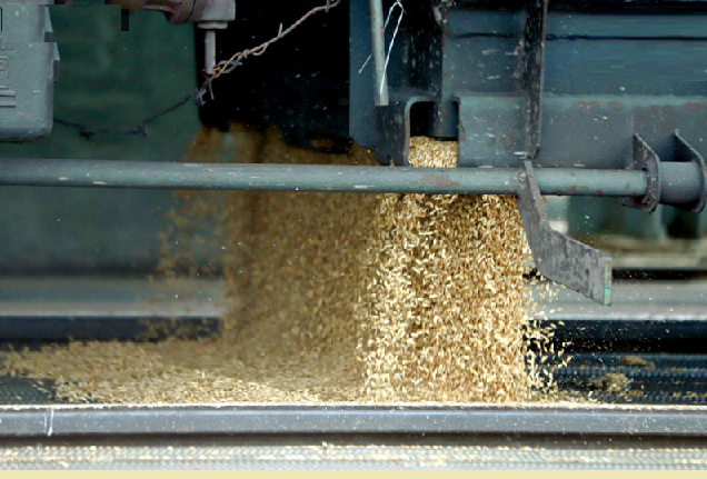 Продкорпорация Казахстана выплатила 2,8 млрд тенге сельхозпроизводителям и экспортерам зерна