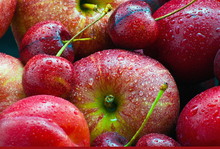 В Казахстане несколько лет подряд сокращается валовой сбор фруктов и ягод