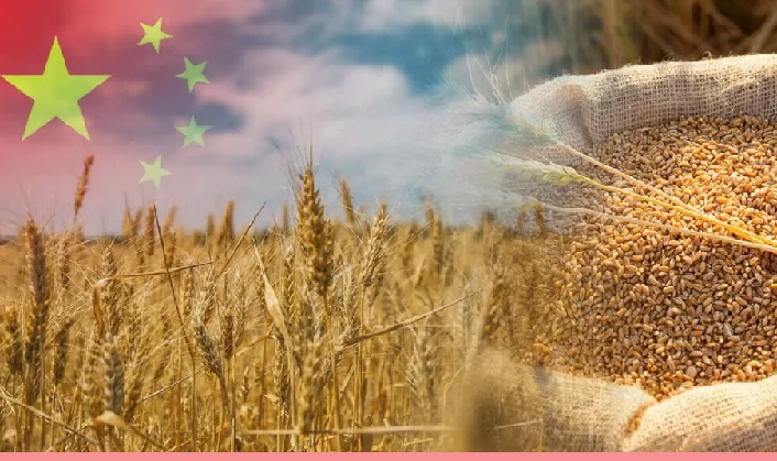 Казахстан и СУАР готовят новую Дорожную карту для развития торговли