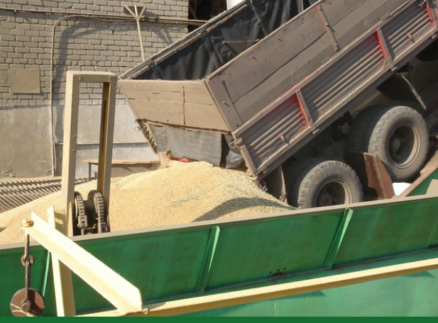 Костанайские аграрии предлагают Продкорпорации  сформировать справедливые закупочные цены на урожай-2025