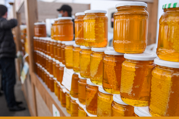 Венгерская компания инвестирует 10 млн долларов в строительство завода по производству меда в Казахстане