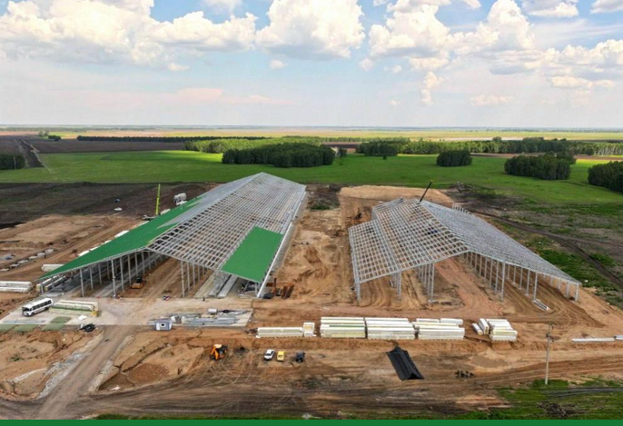 В Северо-Казахстанской области строят крупнейшую в Центральной Азии мегаферму — на 8000 коров