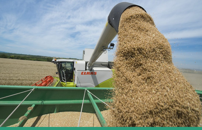 На 25 сентября казахстанские аграрии намолотили 16,6 млн тонн зерна