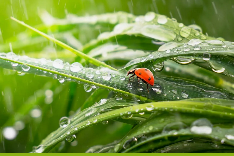 В последний месяц лета в Казахстане ожидается крайне неустойчивая погода 