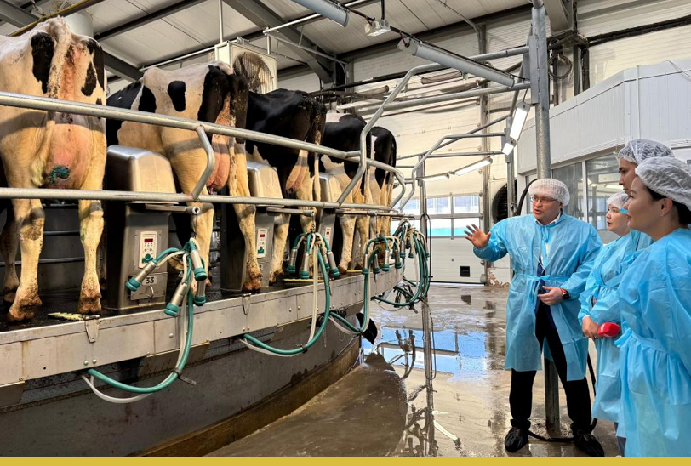 В Павлодарской области функционируют 17 современных молочно-товарных ферм