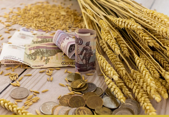 Цены на российскую пшеницу за неделю упали на 7 долларов, до 235 долларов за тонну