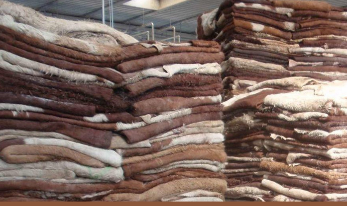 Новый экспортный потенциал: 9 казахстанских компаний получили доступ на рынок Китая