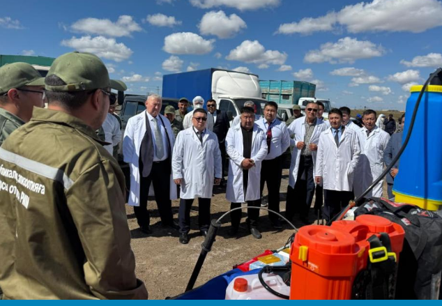 Под наблюдением: в области Абай прошли симуляционные учения по предотвращению вирусных заболеваний сельхозживотных