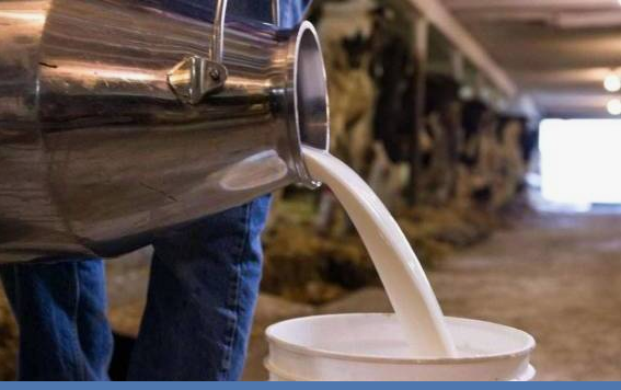 В Казахстане расширен перечень сельхозпродукции с гарантированной закупочной ценой