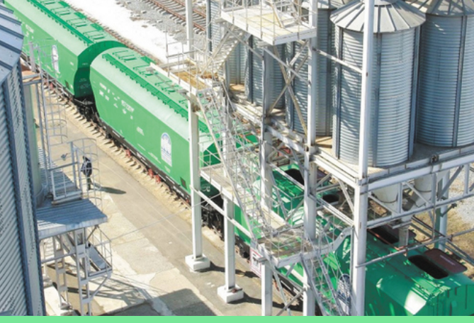 До 30 сентября казахстанские железные дороги запретили отправку и прием иностранных зерновозов