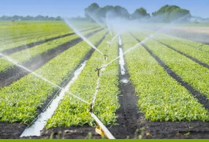 Площадь применения водосберегающих технологий в Казахстане достигла 580 тыс. га