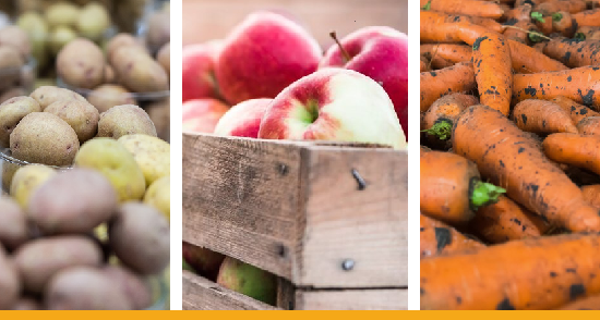 За запасами стабфондов в Казахстане установят цифровой контроль