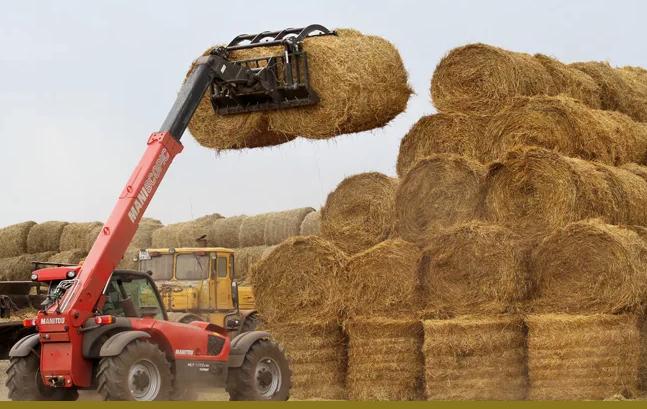 На 11 августа в Казахстане заготовлено более 20 млн тонн кормов 