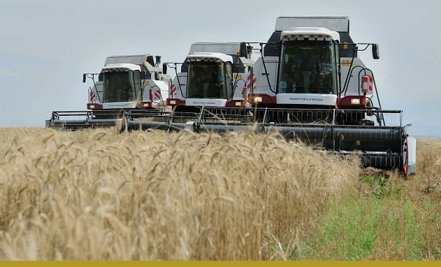 На юге Казахстана уборка урожая проходит на фоне пожарной опасности