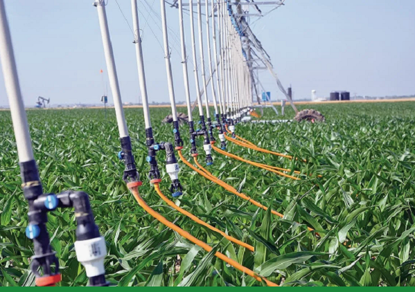 Общая площадь применения водосберегающих технологий в Казахстане составляет 543,5 тыс. га