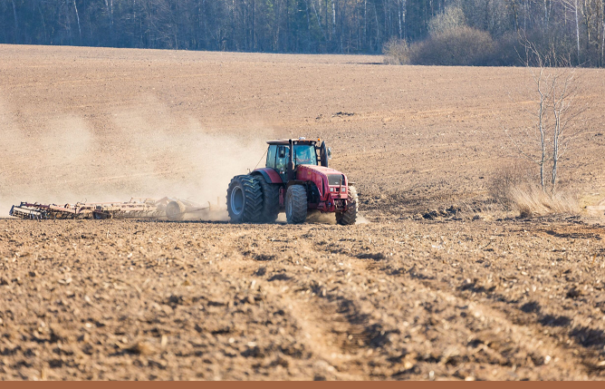 Посевная площадь сельхозкультур в Павлодарской области в текущем году составит 1,7 млн га