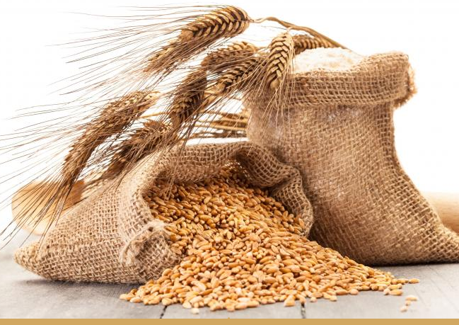 Экспорт зерна и муки из Казахстана в прошлом году вырос на 60%