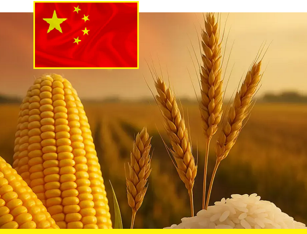 Китай делает ставку на семена, почву и стабильные зарубежные поставки сельхозпродукции 