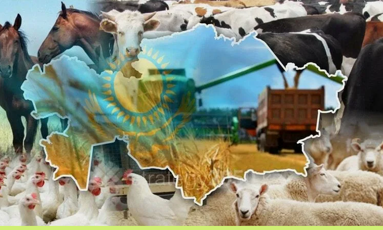 11 млрд долларов: Казахстан достиг исторического рекорда по добавленной стоимости в АПК 