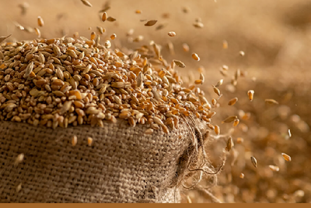 Казахстанские птицефабрики подали в Продкорпрорацию заявки на приобретение 200 тыс. тонн зерна