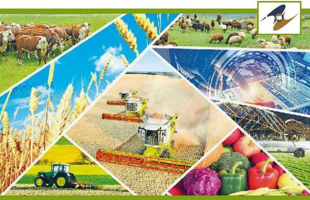 Казахстан и ЕЭК усиливают кооперацию в АПК: акцент на совместные проекты и поддержку бизнеса