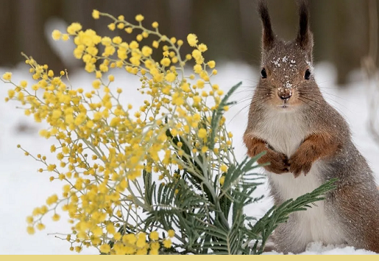 В марте по всему Казахстану ожидается неустойчивый характер погоды
