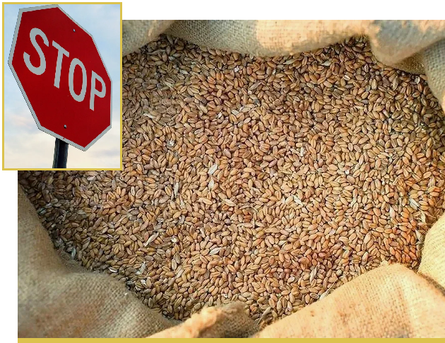 Казахстан запретил ввоз фуражного зерна и кормов из России