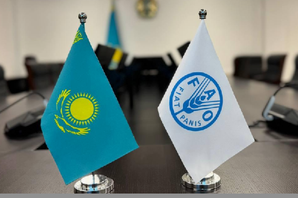 Казахстан и FAO: 10 ключевых проектов на сумму 9,5 млн долларов в агросфере