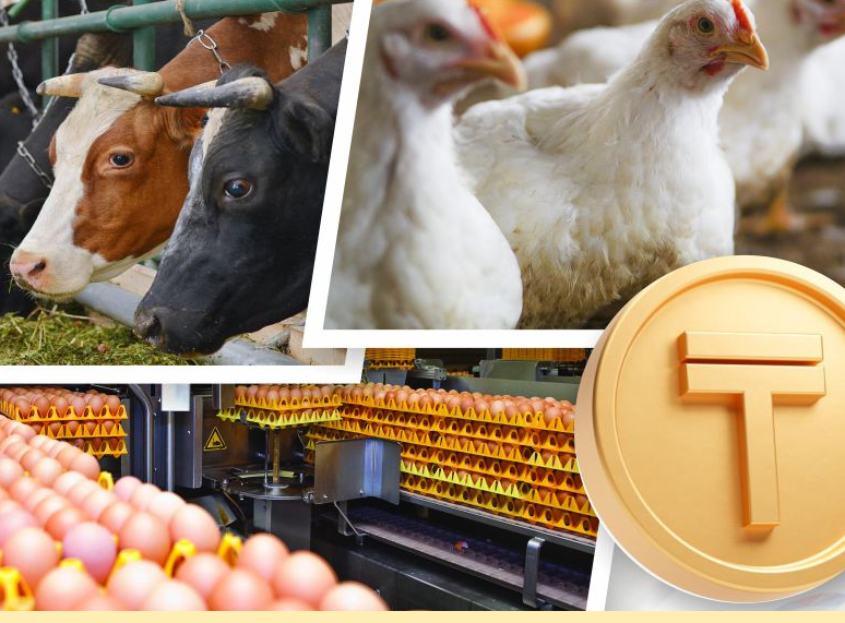 Казахстанские аграрии получили более 600 млрд тенге льготного финансирования