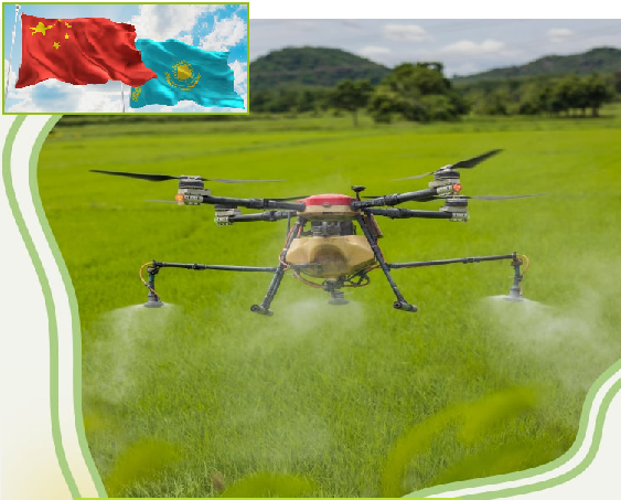 «Один пояс — один путь»: Казахстан и Китай усиливают фитосанитарную безопасность на границе