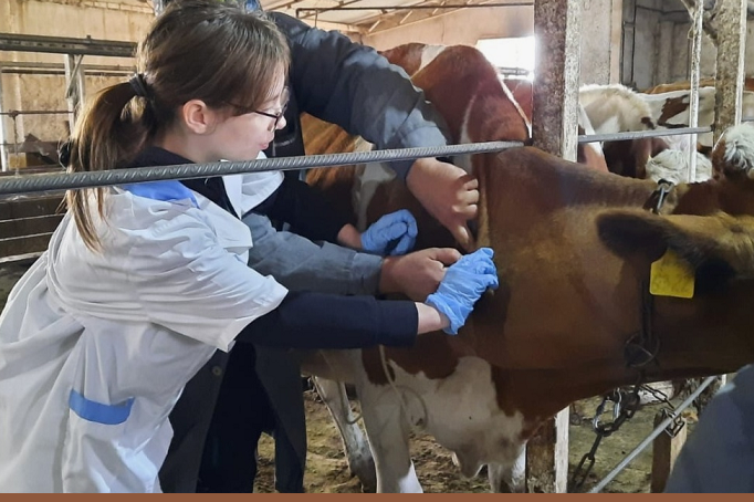 В Казахстане разработан Комплексный план развития ветеринарии на 2026–2030 годы