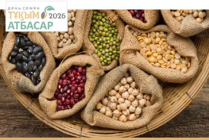 В Атбасаре прошла международная конференция, посвященная вопросам семеноводства
