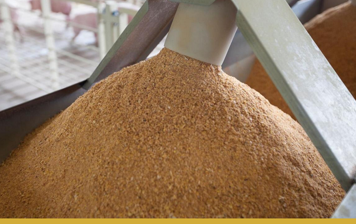 Из Казахстана в Китай отправлено 12,3 тыс. тонн кормовой муки