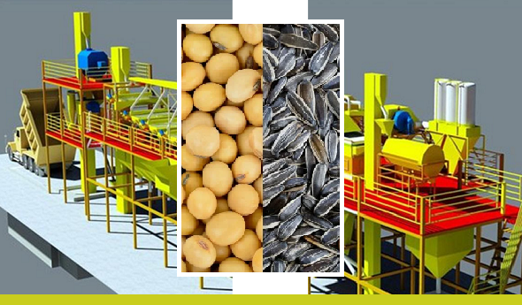 В Восточно-Казахстанской области ожидается запуск завода по подработке семян масличных и крупяных культур