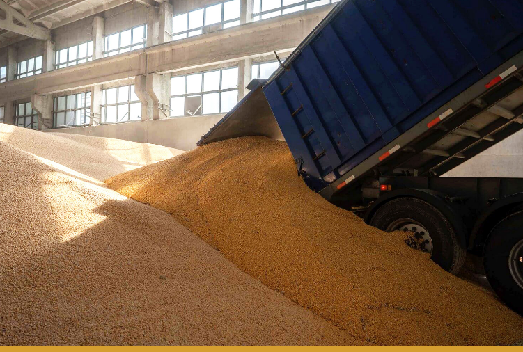 Казахстанские аграрии отгрузили в ресурсы Продкорпорации 114 тыс. тонн зерновой продукции