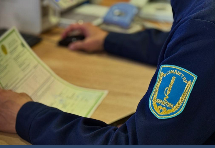 Опасный импорт: задержаны крупные партии зараженной продукции из Китая