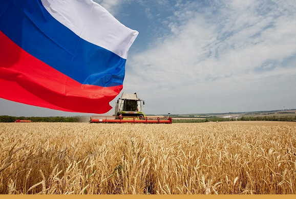 В России уточнили данные по сокращению посевных площадей в 2026 году