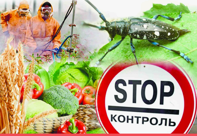 Площадь распространения карантинных объектов в Казахстане в текущем году сократилась до 46,5 тыс. га