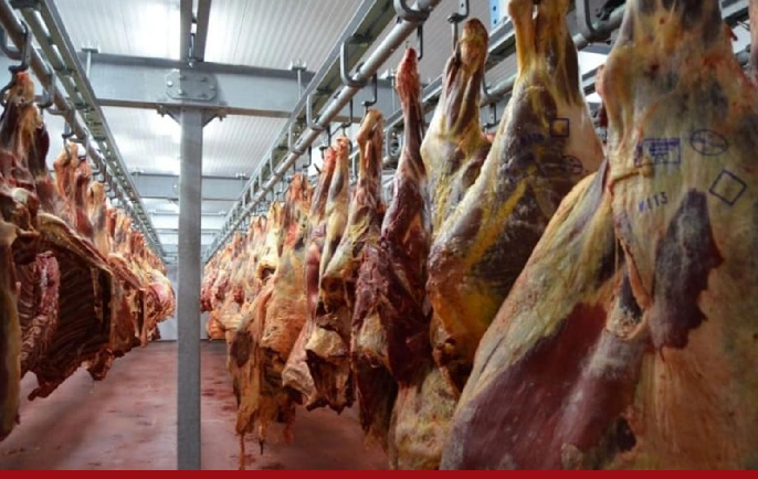 Производство мяса всех видов в Казахстане за четыре месяца 2026 года превысило 338 тыс. тонн