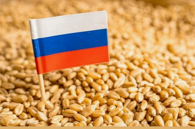 С 5 августа пошлина на экспорт пшеницы из России составит 5,7 рубля за тонну
