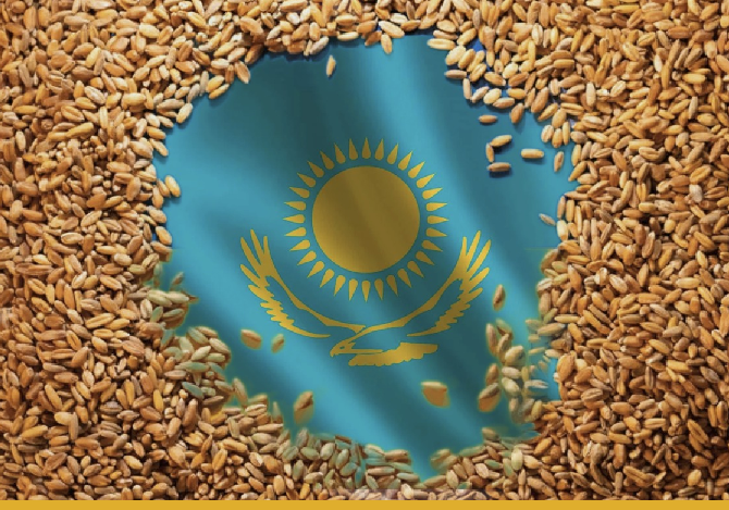 Казахстан ищет новые каналы сбыта зерна: планируются прямые поставки пшеницы в Малави